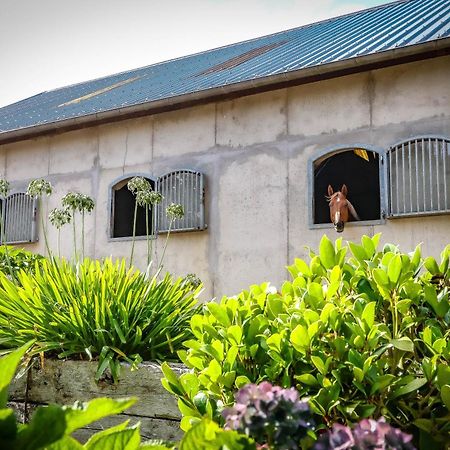 Le Cottage De La Doucette 뺑뽕 외부 사진