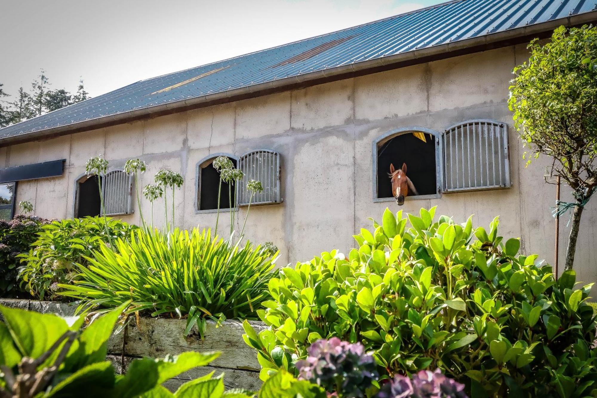 Le Cottage De La Doucette 뺑뽕 외부 사진